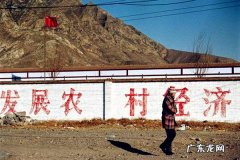 农村合作社是怎么赚钱？这种创业形式可行吗？