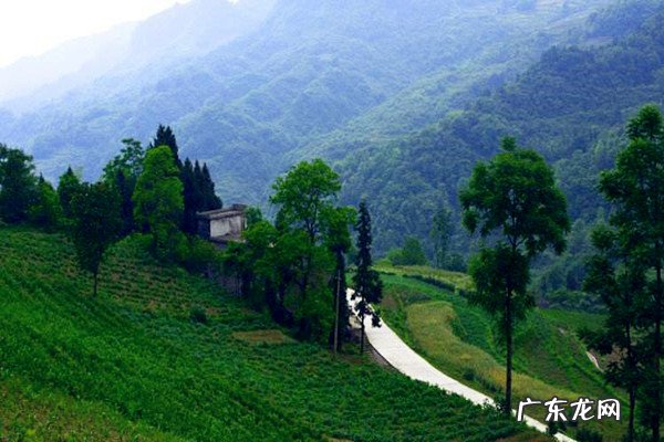 乡镇什么市场是空白的?农村创业有什么注意的?