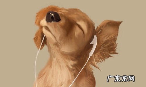 狗狗上火滴什么眼药水