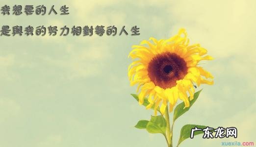 女人有品位的个性签名英文 女人有品位的个性签名