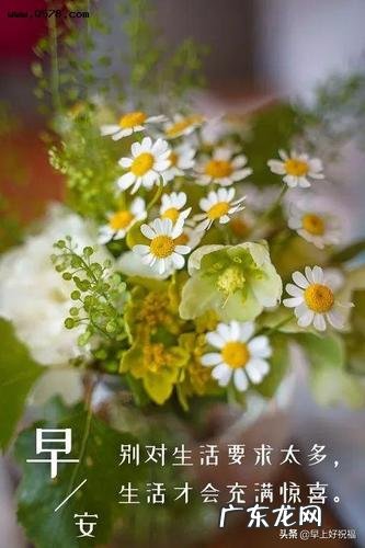 早安心语2021最新励志 早安心语2021最新