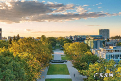 对大学生就业的建议有哪些？应该如何应对就业难？