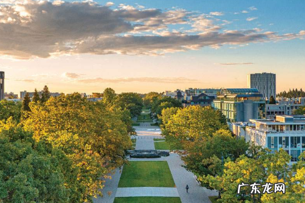 对大学生就业的建议有哪些?应该如何应对就业难?