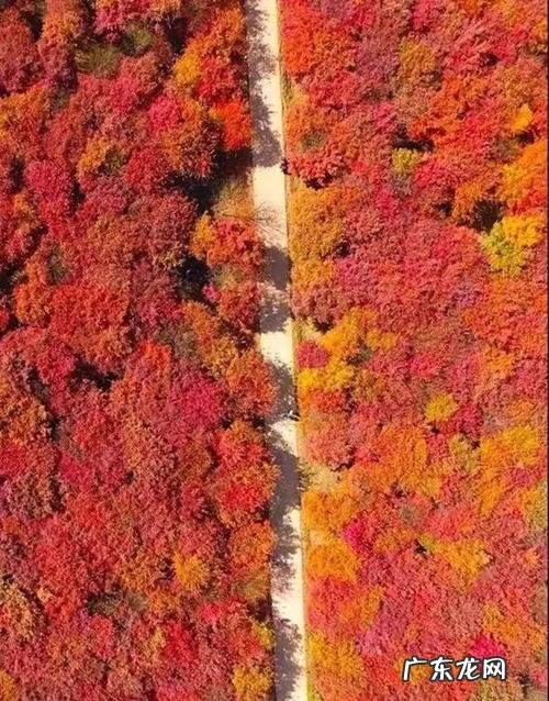 季节性水果一至十二月份 形容十二月份的季节