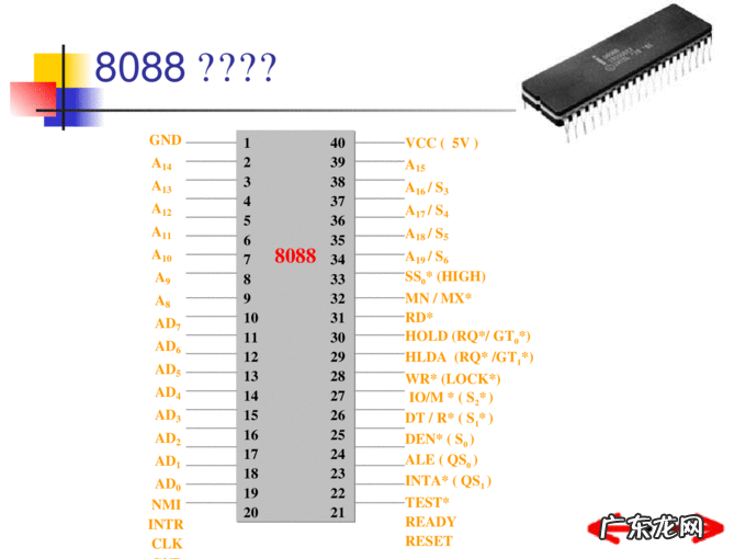 cpu的针脚数有哪些 cpu的针脚