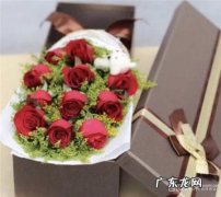 九朵玫瑰一朵百合代表什么 九朵玫瑰