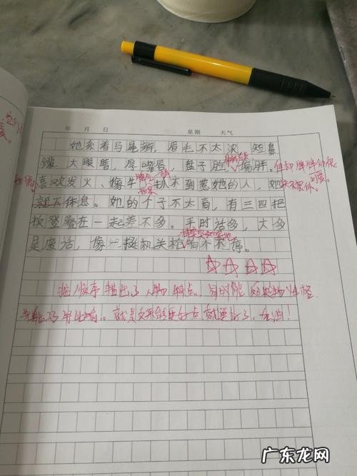 红星照耀中国肖像描写摘抄 肖像描写的段落摘抄