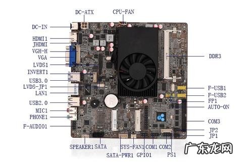 集成显卡的型号 集成显卡的cpu