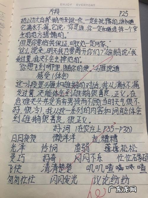 感动段落摘抄100字 关于感动的好段落摘抄