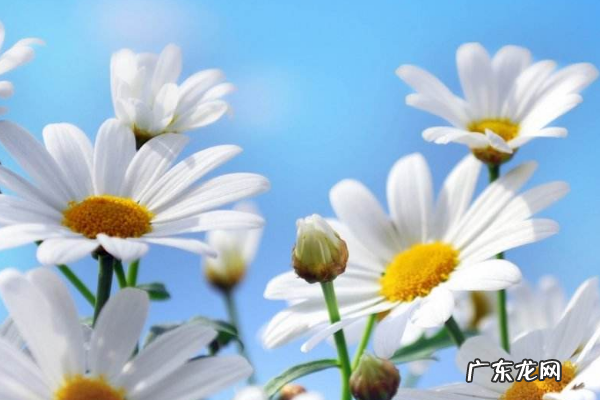 创业初期该做什么?创业者需要的能力有哪些?