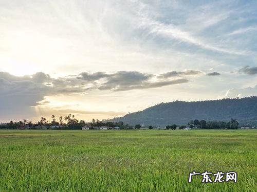 随手拍的风景视频说说 拍个路上的风景说说