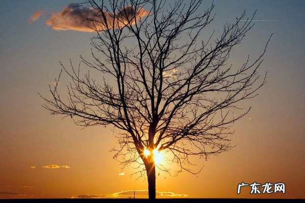 创业开店做什么好?需要准备什么?