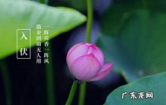 苦夏寒冬是什么意思 苦夏是什么意思