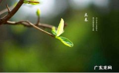 2019年立春是几月几号哪一天 2019年立春是几月几号