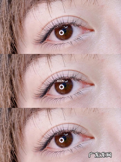 描写老师的眼睛会说话的段落 会说话的眼睛怎么描写