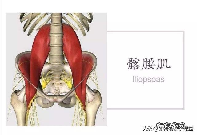 如何纠正含胸驼背、耸肩的体态
