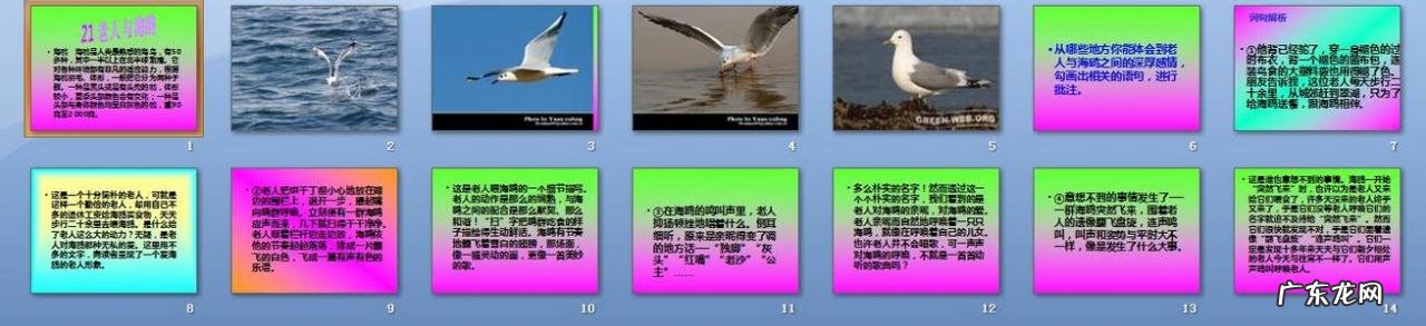 形容城市雨后干净的成语 形容城市干净的成语