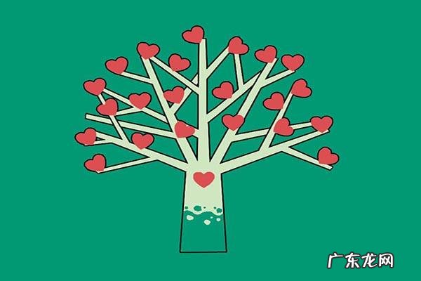 电商创业风险类别有哪些?创业前要尽力降低这些