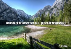 旺旺就是淘宝吗 卖家要挂着淘宝旺旺吗？