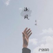 关于风的感悟50字 关于风的感悟