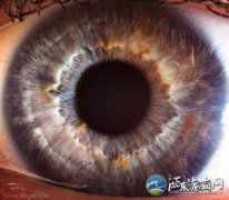 关于母亲眼睛的细节描写 写人的眼睛细节描写