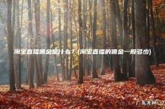 淘宝直播的佣金一般多少 淘宝直播佣金是什么？