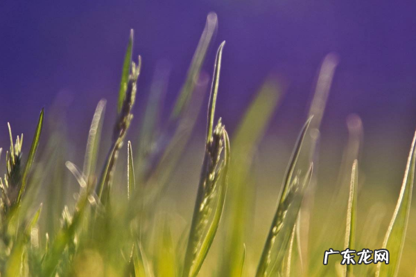 什么样的人不适合创业?不适合创业的原因