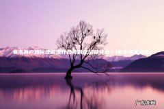 京东商家类型 京东商户如何理解流行趋势的定义和特点？