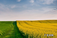 成功的创业者具备哪些特征？哪些值得我们学习？