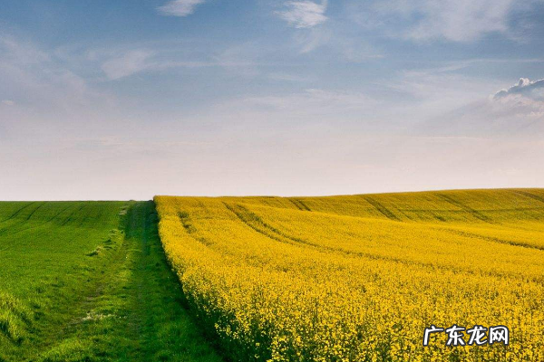 成功的创业者具备哪些特征?哪些值得我们学习?