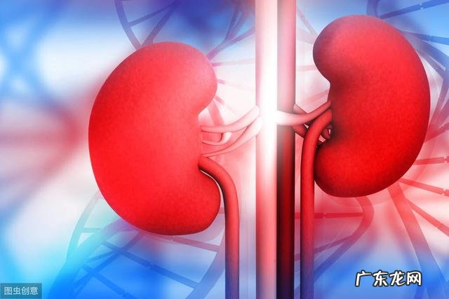 多喝水会增加肾脏负担吗?