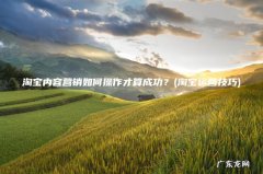 淘宝运营技巧 淘宝内容营销如何操作才算成功？