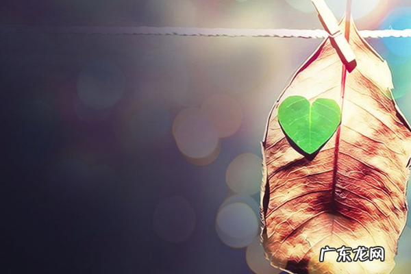 小成本的创业项目有哪些?创业项目推荐