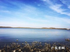 我们一起去大草原的湖边等候鸟飞回来 等候鸟飞回来