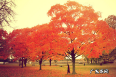 为什么选择创业？看完这些你就懂了！