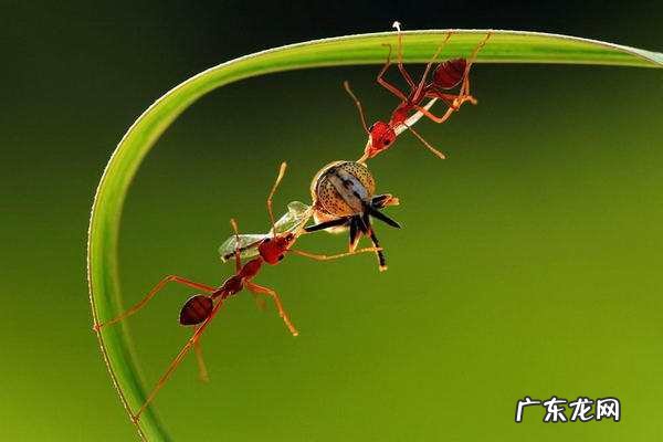 微信怎么创业?如何通过它来获取利润?