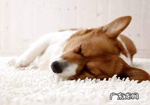 细小潜伏期的病症有什么?