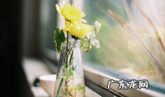 语录大全人生感悟2021 语录大全人生感悟