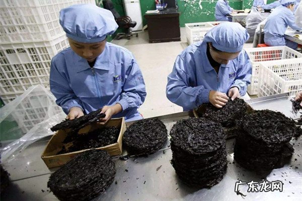 家庭办厂好项目有哪些？选择一个正式开始赚钱吧