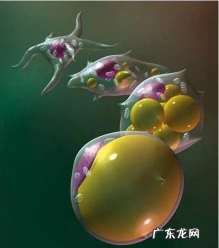 用300大卡的基础代谢换一个月减重30斤，值不值得？