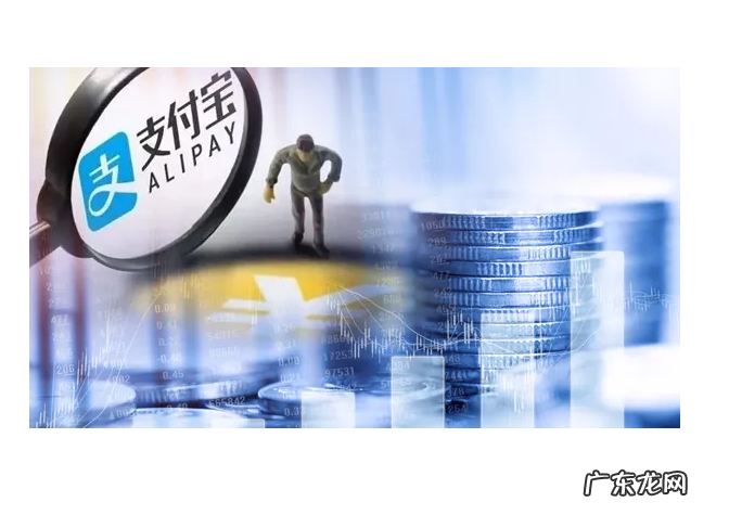 支付宝基金怎么看超越了多少人？怎么看收益率