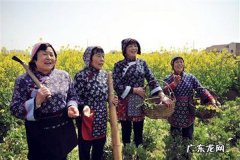 下乡卖什么东西销路好？乡镇什么市场是空白的？