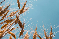 什么是好的商业模式？需要考虑什么？