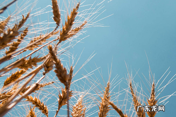 什么是好的商业模式?需要考虑什么?