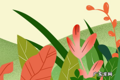 夏天创业做什么比较好？不妨试试这些！