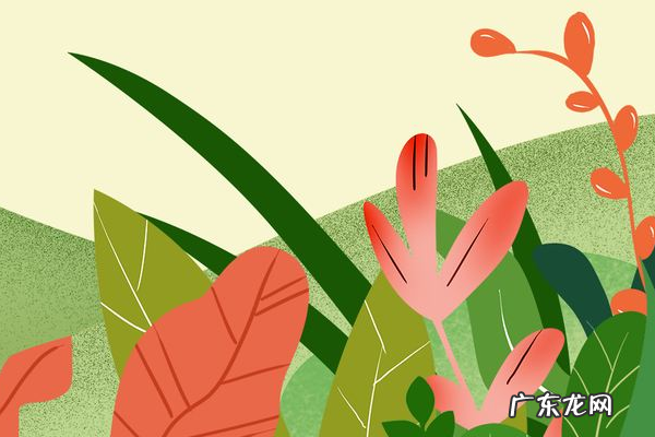 夏天创业做什么比较好?不妨试试这些!