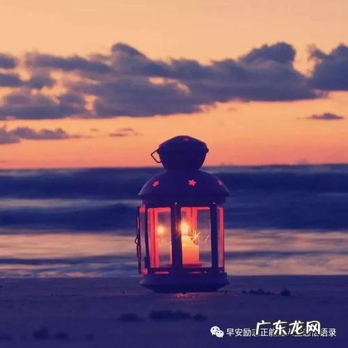 人生哲理感悟的事例100字 100条人生哲理感悟