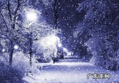 描写雪景超唯美的段落500字 描写雪景超唯美的段落
