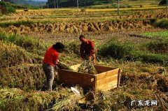 农村年轻人创业有什么政策?跟着政策走才不会迷失方向