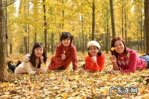 形容银杏树美丽的成语 描写银杏树的成语